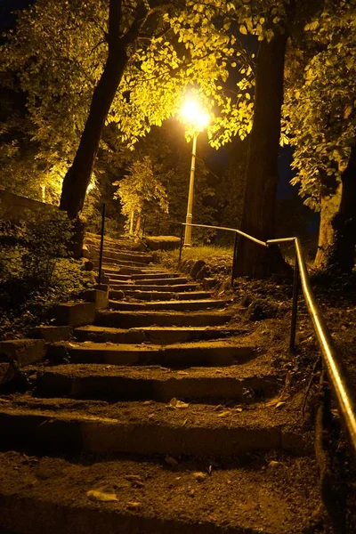 Een steegje in een park 's nachts — Stockfoto