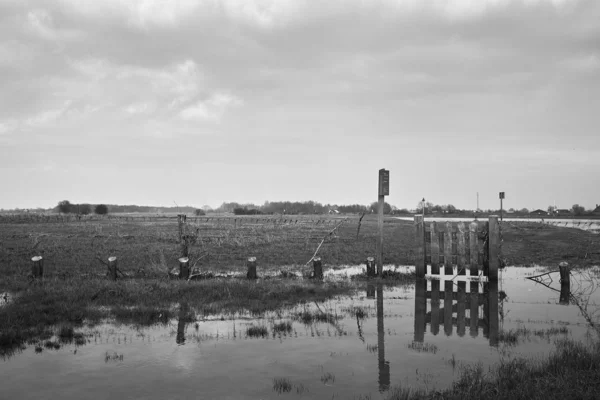 Greyscale shot of a small fence reflected in the lake in a valley in a rural area — 스톡 사진