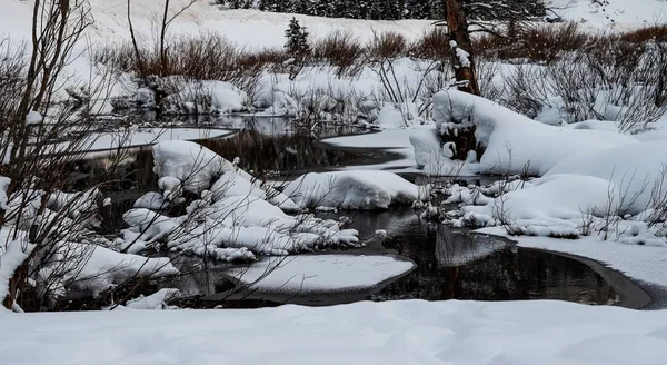 Zugefrorener Fluss voller Schnee mitten im Wald in Utah — Stockfoto