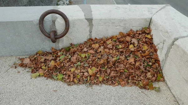 Színes őszi levelek halmozódtak fel a sarokban. — Stock Fotó