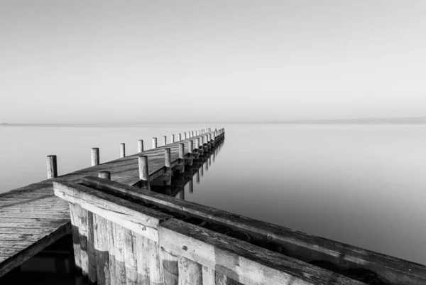 Greyscale Shot Wooden Dog Sea Foggy Background — Stock Photo, Image