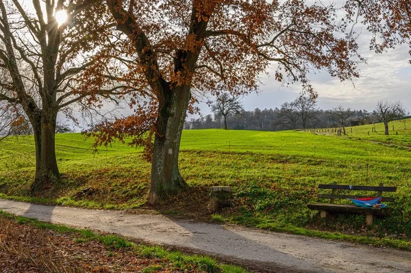 Banco de madeira perto do caminho no meio de campos gramados — Fotografia de Stock