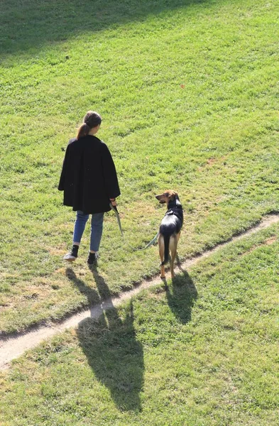 Вертикальный Снимок Женщины Выгуливающей Свою Собаку Травянистом Поле Италии — стоковое фото