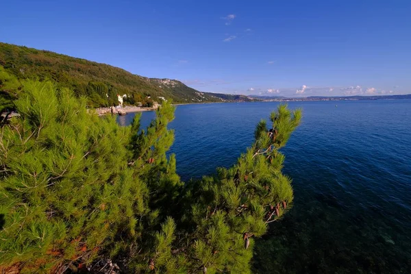 Een Zomerdag Aan Kust Met Een Zeemeeuw Kroatië — Stockfoto