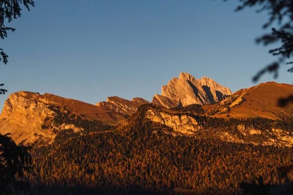 Prachtig shot van beboste berg met een blauwe lucht op de achtergrond in dolomiet Italië — Stockfoto