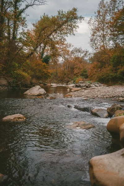 Vertical Shot Lot Rocks River Surrounded Beautiful Trees Storm Clouds — 스톡 사진