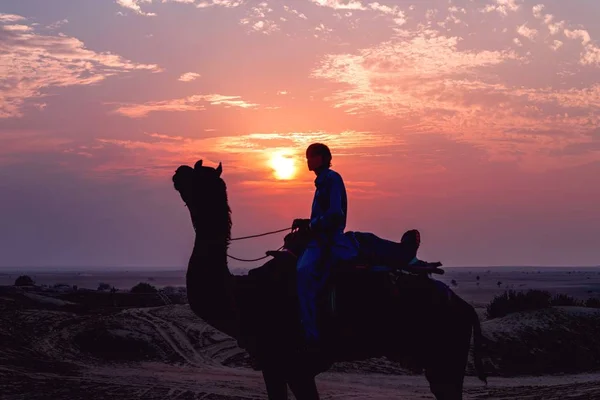 Veduta di una persona locale su un cammello sagomato durante un tramonto rosa — Foto Stock