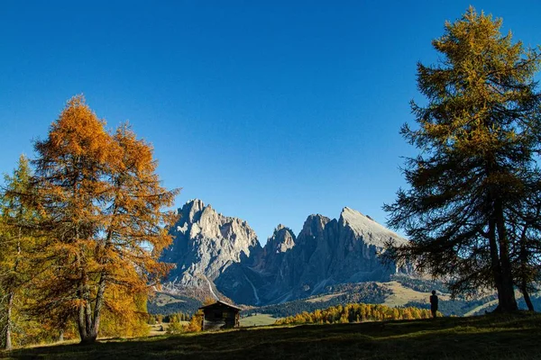 ドロマイトイタリアの景色を楽しむ芝生の丘の上に立っている人の美しいショット — ストック写真