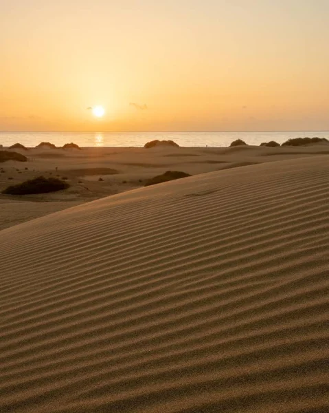 Wczesnym Rankiem Relaksujący Spokojny Wschód Słońca Wydmach Maspalomas Gran Canaria — Zdjęcie stockowe