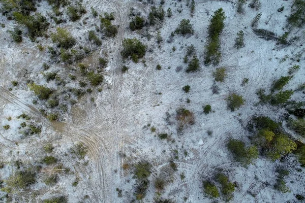 Fotografia aérea de uma floresta cheia de árvores verdes cobertas de neve — Fotografia de Stock