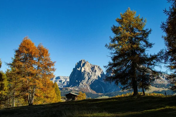 Belo tiro de uma casa em um campo gramado com montanhas na distância em dolomite Itália — Fotografia de Stock