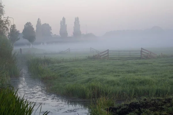 Krajobraz Pola Pokrytego Porannej Mgle Holandii — Zdjęcie stockowe