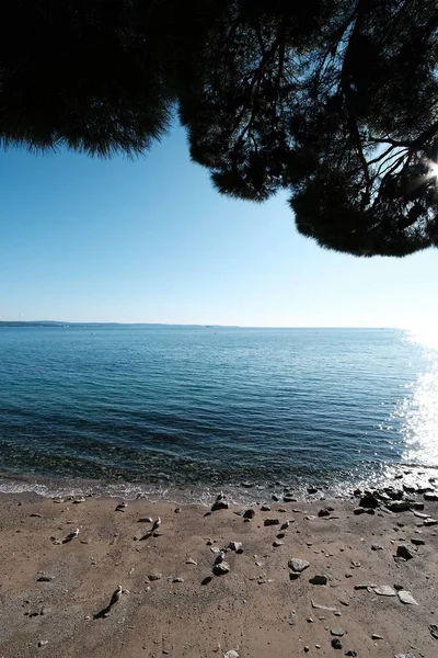 Ein Sommertag Meer Mit Einer Möwe Kroatien — Stockfoto