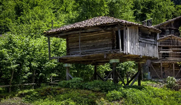 Uma Bela Casa Aldeia Entre Árvores Uma Floresta Capturada Suíça — Fotografia de Stock