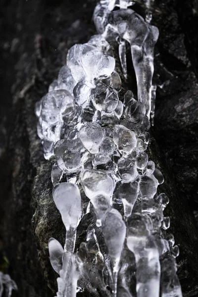 Tiro de close-up vertical de belos icicles em uma árvore — Fotografia de Stock