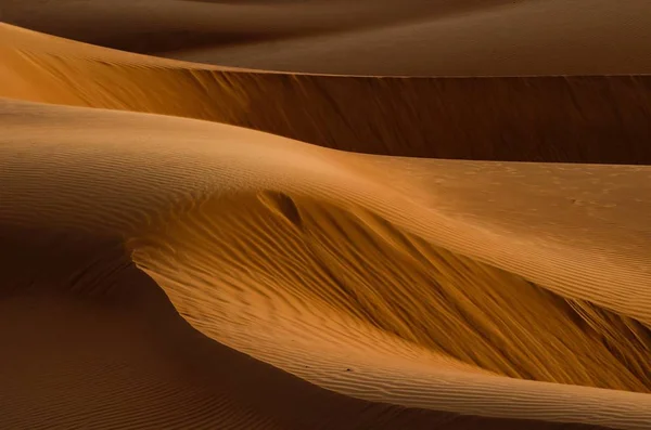 Desert with sand dunes - great for wallpaper or background — 스톡 사진