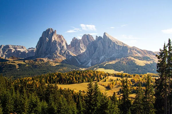 Piękny widok trawiastych wzgórz pokrytych drzewami w pobliżu gór w Dolomitach Włochy — Zdjęcie stockowe