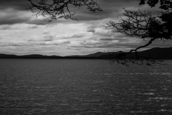 Серый снимок спокойного красивого океана, снятый в парке Огненной Земли, Патагония, Аргентина — стоковое фото