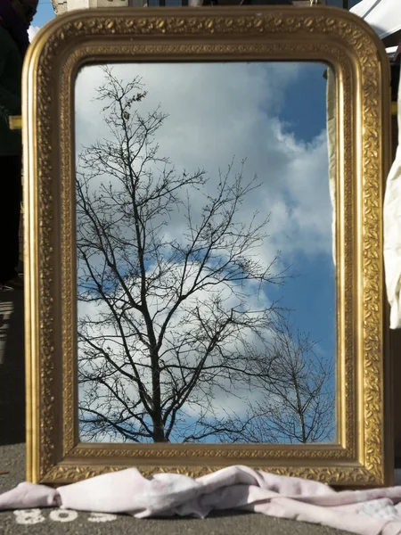 A vertical shot of a mirror reflecting a bare tree touching the sky