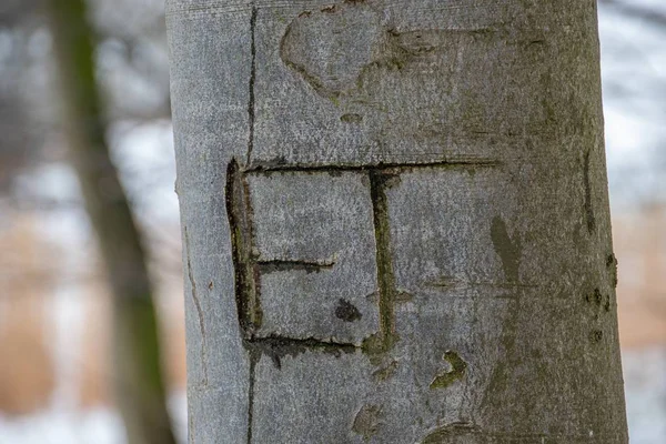 나무에 글자를 새겨 넣은 클로즈업 사진 — 스톡 사진