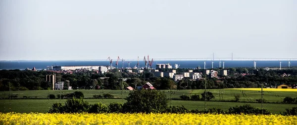 Breed grasveld met bomen en gebouwen in de verte — Stockfoto