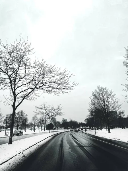 Eine Straße Umgeben Von Bäumen Und Autos Schnee Mit Gebäuden — Stockfoto