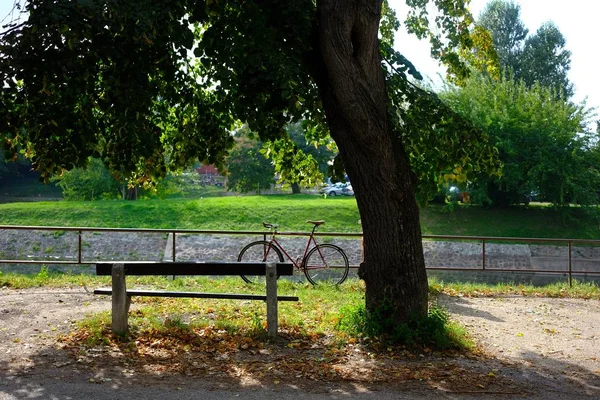 Uma bicicleta perto de um rio e um banco debaixo de uma árvore — Fotografia de Stock