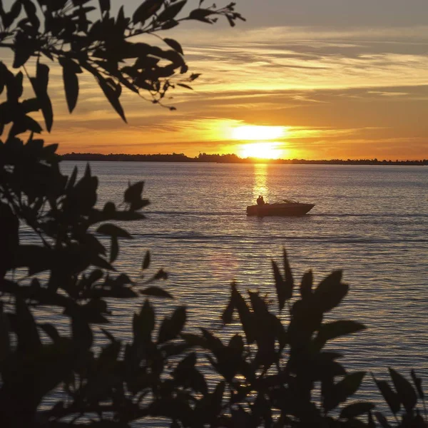 Plachetnice na oceánu pod krásným západem slunce zachycená zpoza stromů — Stock fotografie