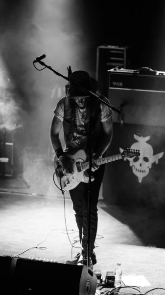 Brisbane Autriche Oct 2017 Les Dandy Warhols Vivent Brisbane Australie — Photo