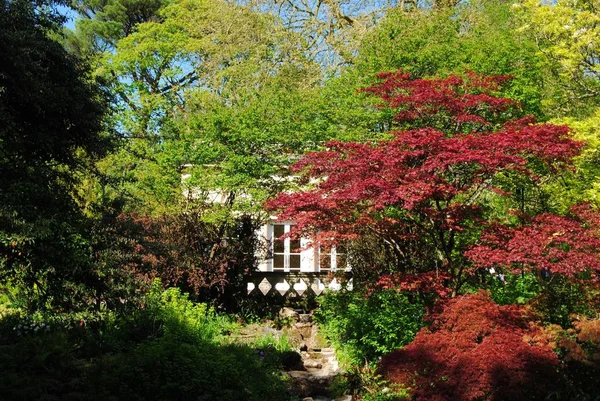 Bath England Storbritannien Maj 2018 Botaniska Trädgården Royal Victoria Park — Stockfoto