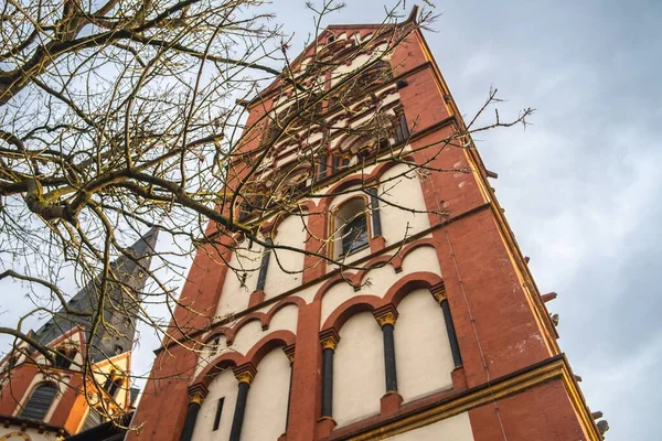 Vue Angle Bas Cathédrale Limbourg Entourée Verdure Sous Soleil Allemagne — Photo