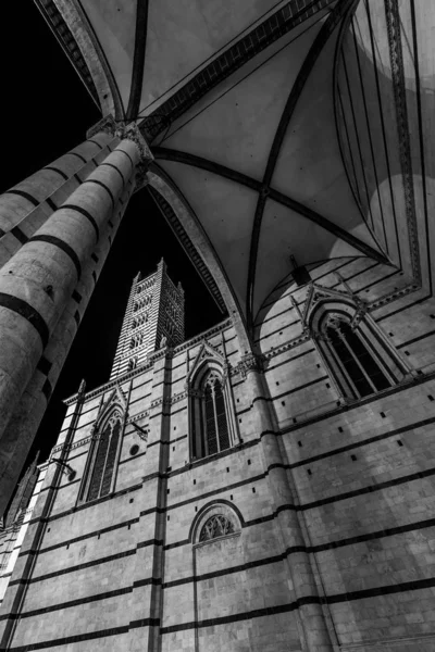 Een Verticale Grijswaarden Opname Van Beroemde Historische Kathedraal Van Siena — Stockfoto