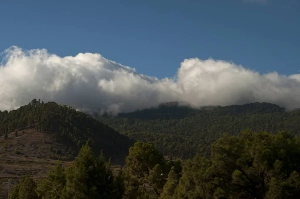 Paysage Collines Couvertes Forêts Sous Ciel Nuageux Ensoleillé — Photo