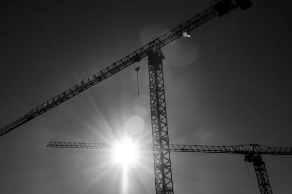 Low Angle Greyscale Construction Cranes Sunlight Charlotte North Carolina — 스톡 사진