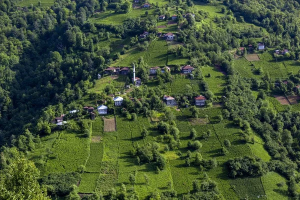 草に覆われた畑の村の家の空中撮影 — ストック写真