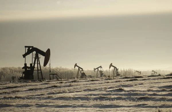 Ein Feld Mit Ölpumpen Umgeben Von Viel Grün Unter Wolkenverhangenem — Stockfoto