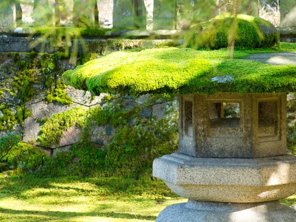 Zahrada Kamennou Budovou Pokrytou Mechem Obklopenou Zelení Slunečního Svitu — Stock fotografie