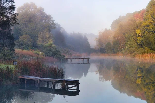 Hermosa toma de un lago rodeado de árboles con una niebla que se forma sobre él — Foto de Stock