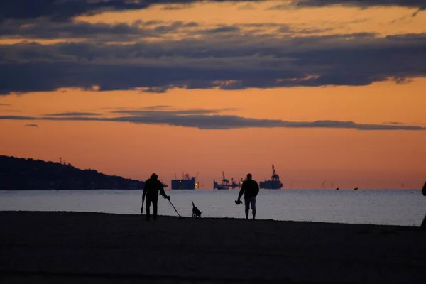 Persone che corrono, cercano con metal detector e portano a spasso un cane, sulla spiaggia — Foto Stock