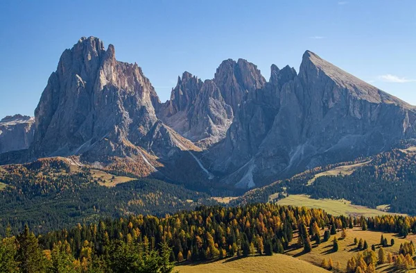 Gyönyörű lövés a hegyek és füves dombok a fák dolomite Olaszország — Stock Fotó