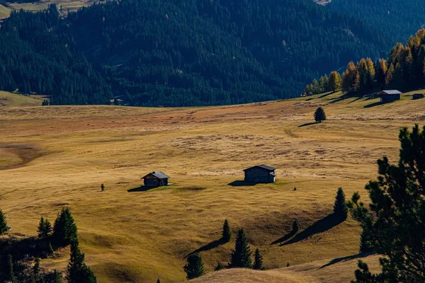 Beautiful shot of buildings on a grassy hill with a forested mountain in distance in dolomite Italy — 스톡 사진