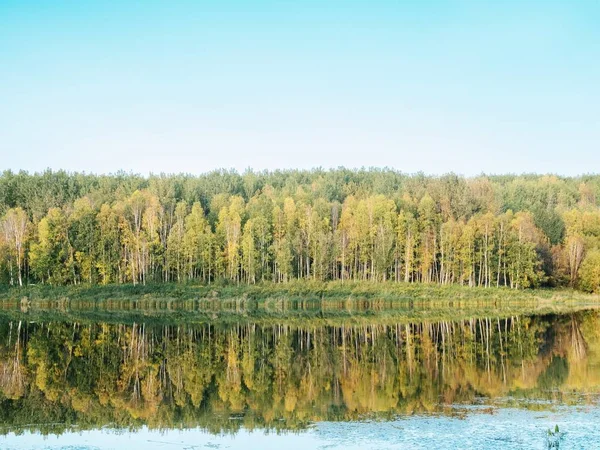 Forêt Près Lac Avec Les Arbres Verts Reflétés Dans Eau — Photo