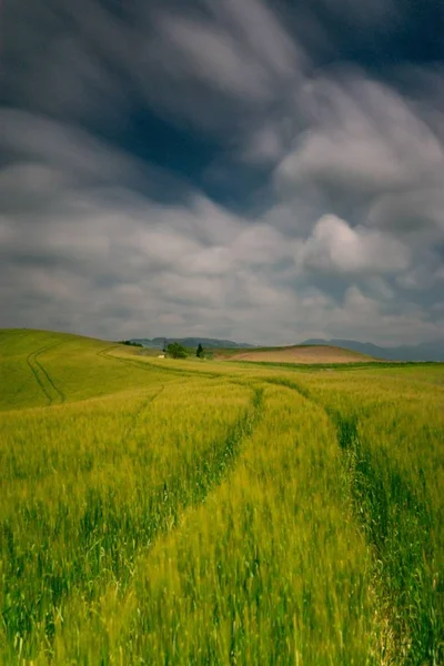 Vue Verticale Champ Agricole Campagne — Photo