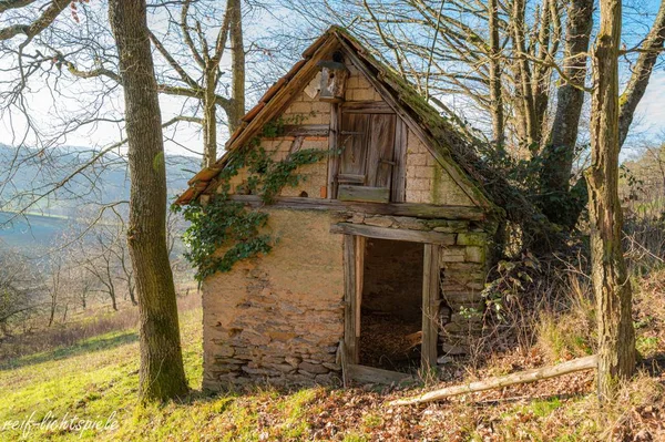 Старий покинутий будинок на пагорбі, оточений деревами — стокове фото