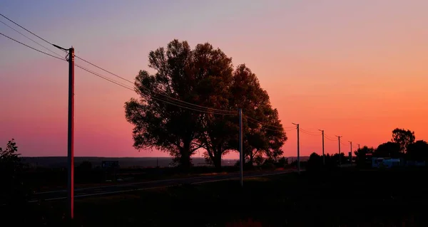 一幅色彩艳丽的日落美景 两棵树矗立在路边 — 图库照片