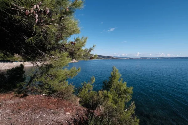 Ein Sommertag Meer Mit Einer Möwe Kroatien — Stockfoto