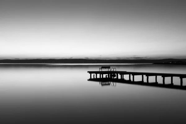 Greyscale Shot Wooden Dog Sea Foggy Background — Stock Photo, Image