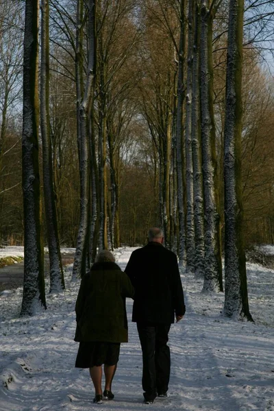 Tiro vertical de um casal em uma estrada coberta de neve no inverno cercada por árvores altas — Fotografia de Stock