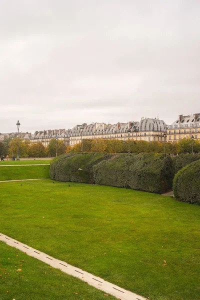 Jardín Las Tullerías Rodeado Edificios Bajo Cielo Nublado París Francia —  Fotos de Stock