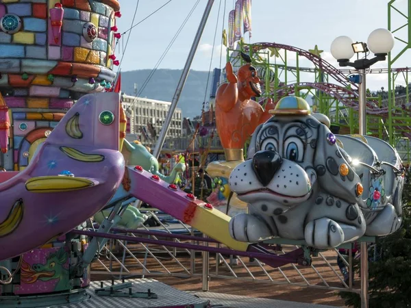 Geneva Switzerland Jan 2020 Grey Dog Cap Carousel — Stock Photo, Image